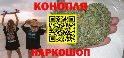 индика Гудермес