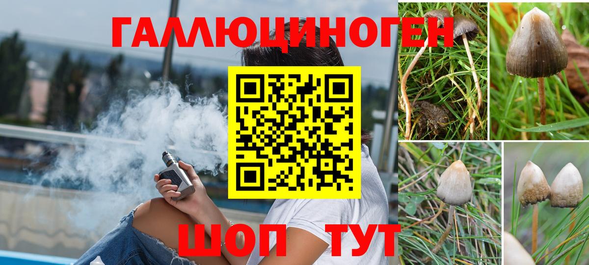 Галлюциногенные грибы GOLDEN TEACHER Рассказово