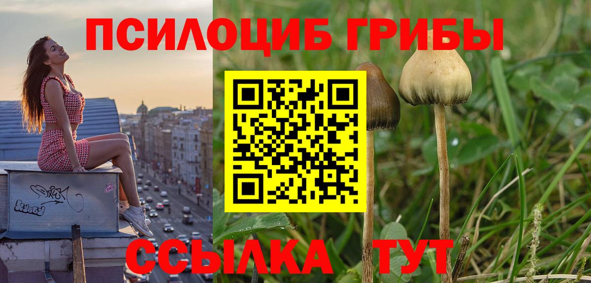 Галлюциногенные грибы MAGIC MUSHROOMS  Вход с VPN  Рассказово  Псилоцибиновые грибы Magic Shrooms 